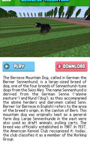 DOG MOD FREE - Dogs Mods Style Guide For Minecraft Game PC Edition 1