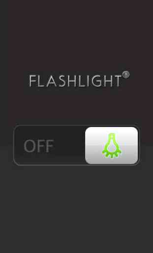 FlashLight Ⓑ 1