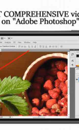 Full Tutorial for Adobe® Photoshop HD 1