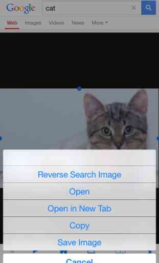 Reverse Image Search Free : Search for any photo using multiple search engines 2
