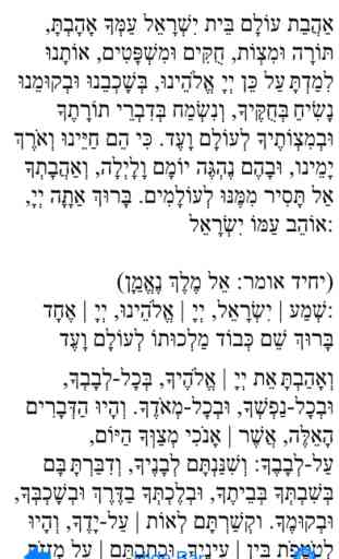 Pocket Luach - The Jewish Calendar (siddur, zmanim) 2