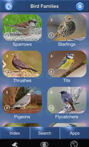 Bird Id - British Isles Identification Guide including all RSPB BGB bird watching survey birds 1