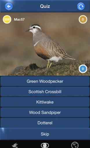 Bird Id - British Isles Identification Guide including all RSPB BGB bird watching survey birds 4