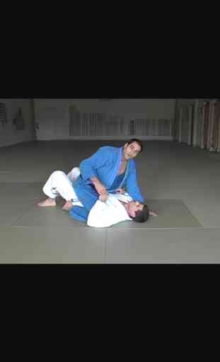 Brazilian Jiu Jitsu: Blue Belt Requirements 2