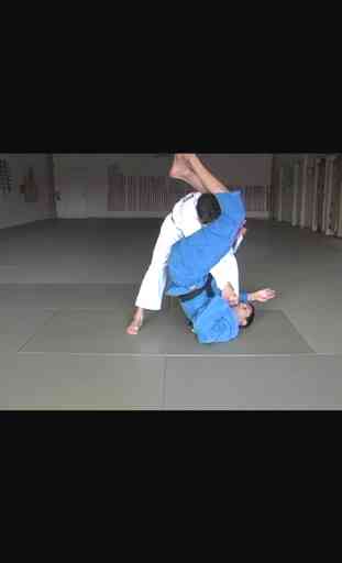 Brazilian Jiu Jitsu: Blue Belt Requirements 4
