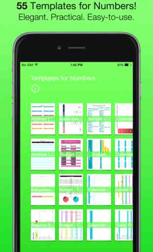 Templates for Numbers (for iPad, iPhone, iPod touch) 1