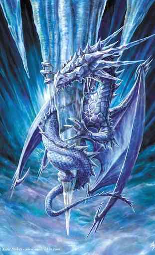 Dragon HD Wallpaper Background 4