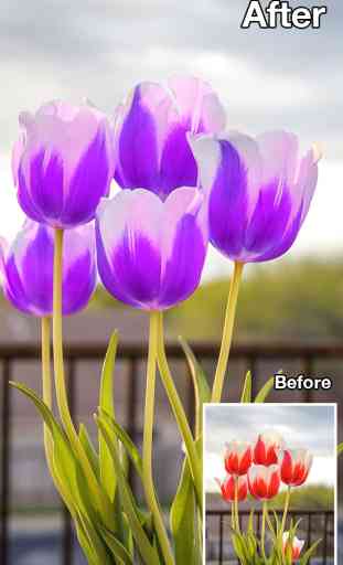 Color Recolor Effects - Photo Splash FX and Paint Highlights into Black & White Pictures 2