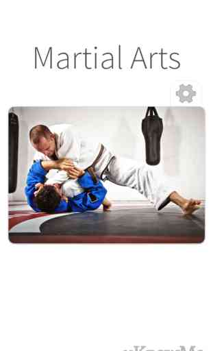 Martial Arts - Training in Mixed Combat for Fighting Sports or Protection with Self Defense 1
