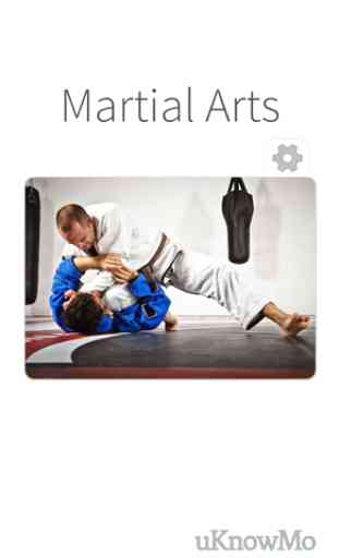 Martial Arts - Training in Mixed Combat for Fighting Sports or Protection with Self Defense 4