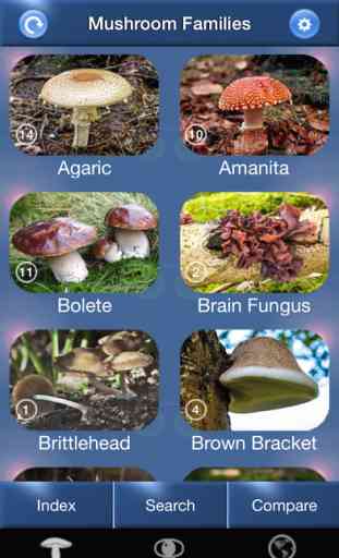 Mushroom Id North America - Fungi Identification Guide to Toadstools and Mushrooms 1