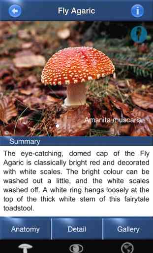 Mushroom Id North America - Fungi Identification Guide to Toadstools and Mushrooms 2