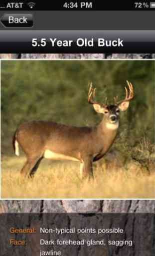 Deer Scoring & Field Aging Guide 3