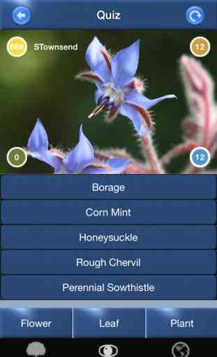 Wild Flower Id Automatic Recognition & Reference - Wildflowers of the British Isles 4