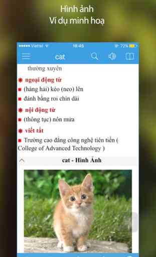 Vietnamese English Dictionary & Offline Translator 3