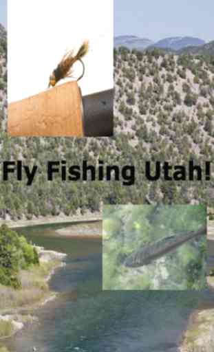 Fly Fishing Utah 1