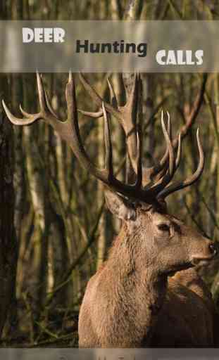 Easy Deer Hunting Calls - Finest Deer Hunting Calls which Every Deer Hunter Must Use 1