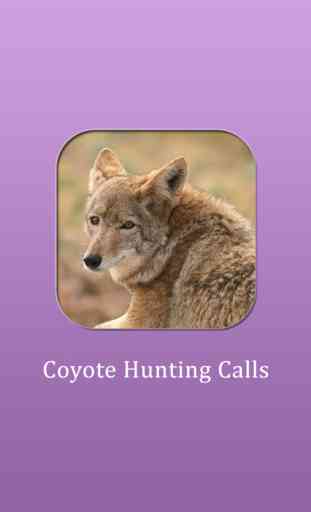 Coyote Hunting Calls! 1