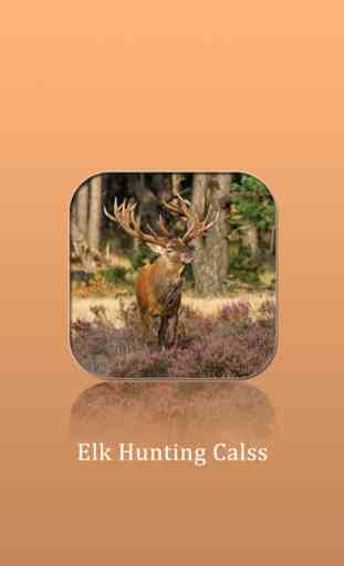 Elk Hunting Calls! 1