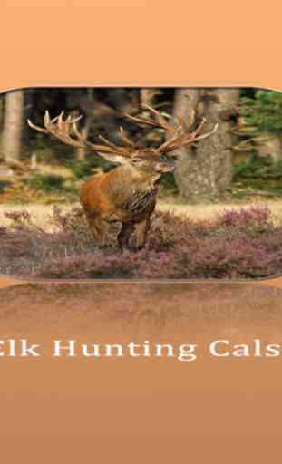 Elk Hunting Calls! 3