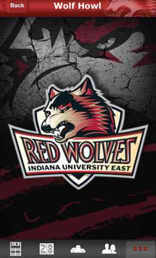 IU East Red Wolves Athletics 3