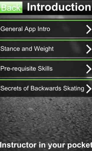 Skate Lessons Advanced 2