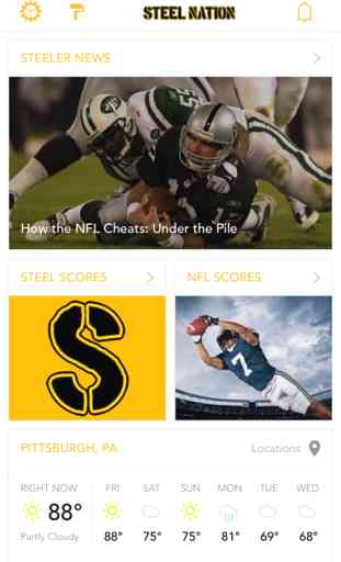 Steel Nation Football for NFLs Pittsburgh Steelers 1