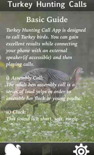 Turkey Hunting Calls! 4