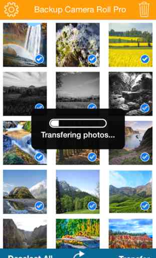 Back up Camera Roll Photos and Movies Lite 2