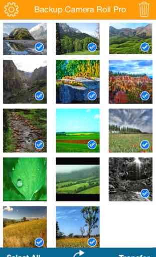 Back up Camera Roll Photos and Movies Lite 3