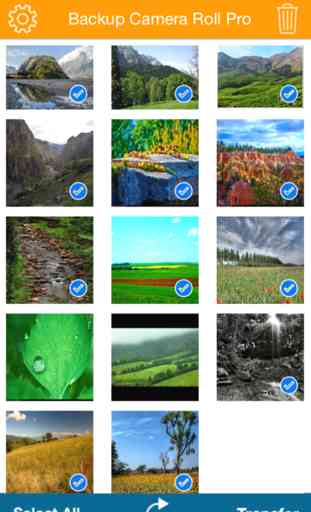 Back up Camera Roll Photos and Movies Pro 3