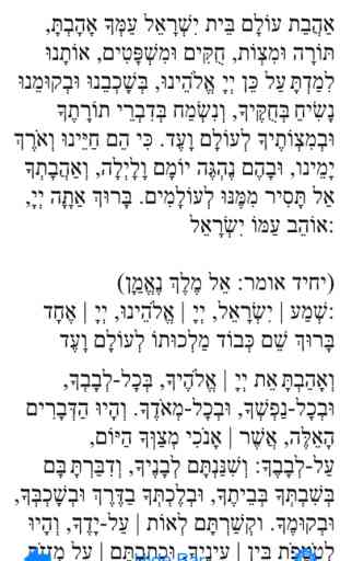 Pocket Luach Deluxe - The Jewish Calendar (siddur, zmanim) 3