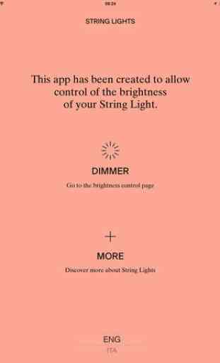 String Lights – Remote dimmer and more 3