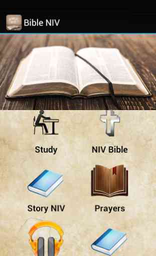 Bible NIV 1