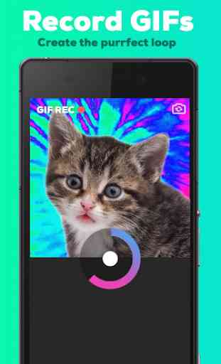 GIPHY CAM. The GIF Camera 2