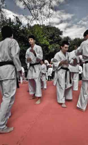 Karate Training 2
