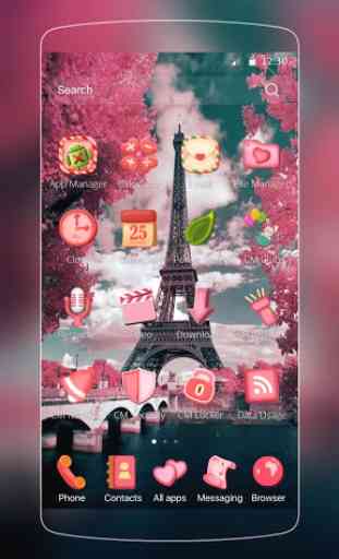 Love Pink Paris Theme 2