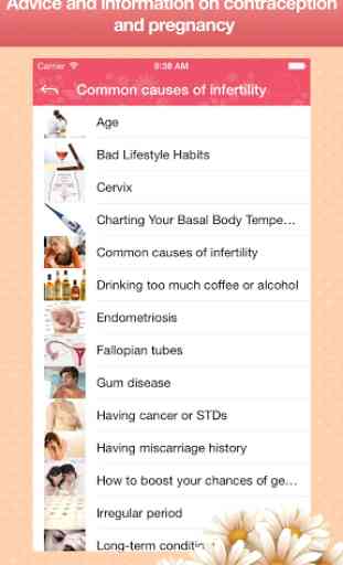 Menstrual Calendar 4