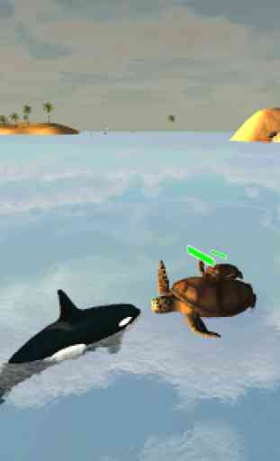 Orca Survival Simulator 4