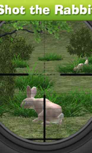 Rabbit Hunting Challenge 1