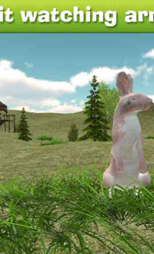 Rabbit Hunting Challenge 2