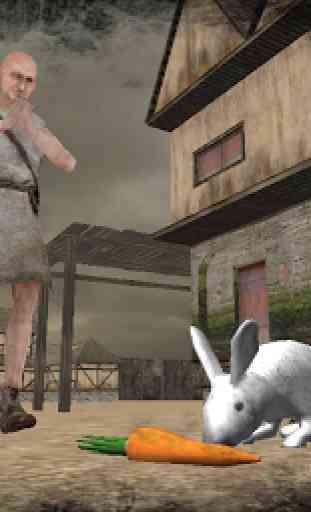 Real Rabbit Simulator 1