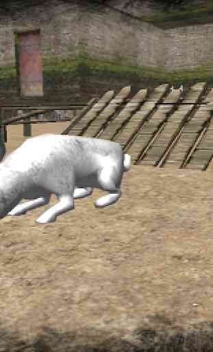 Real Rabbit Simulator 4