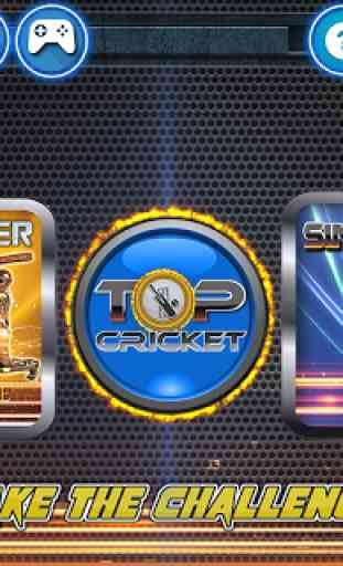 Top Cricket MultiPlayer 1