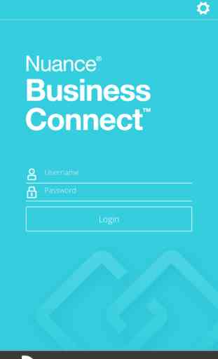 Nuance Business Connect 2