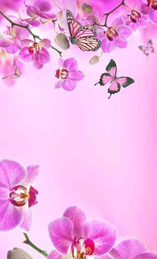 Pink Flowers Live Wallpaper 1