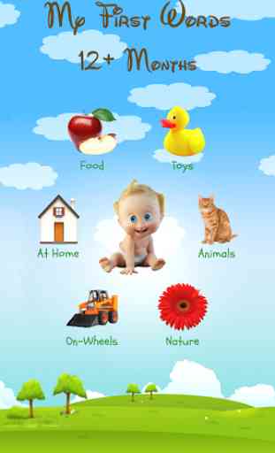 Baby Flashcards: 12+ Months 1