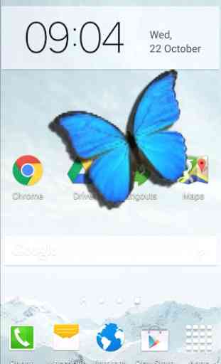 Butterfly in Phone lovely joke 1