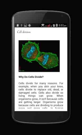 Cell Biology 3