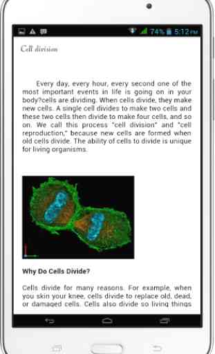 Cell Biology 4